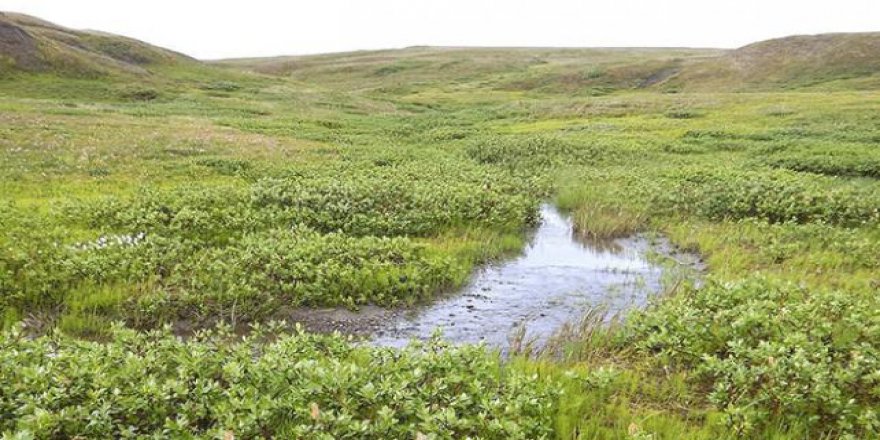 Bilim insanları uyardı: Toprak karbondioksit tutmuyor