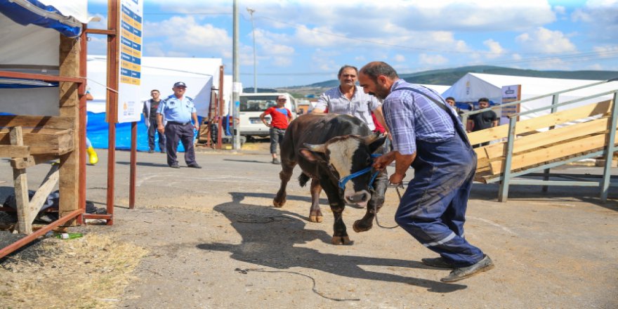 Doğu Anadolu'da bayram hazırlıkları başladı