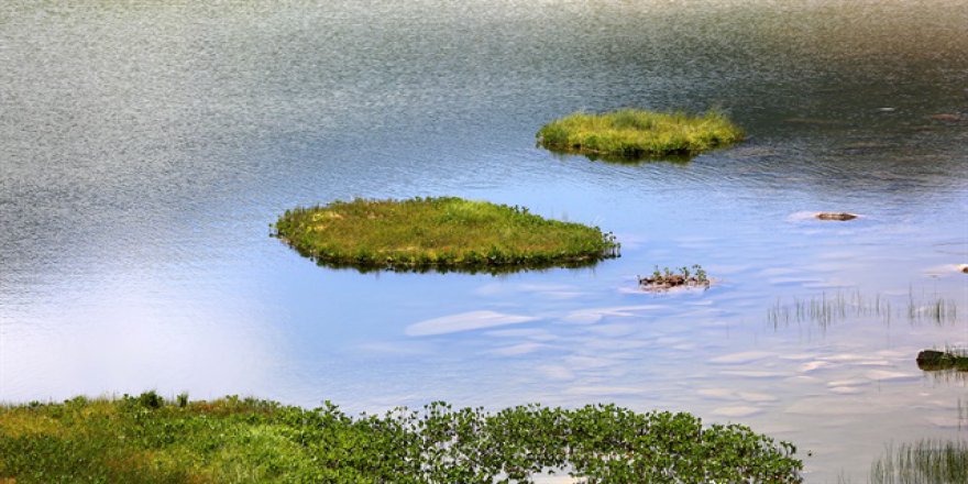 Yüzer adalarla hava tahmini yapıyor