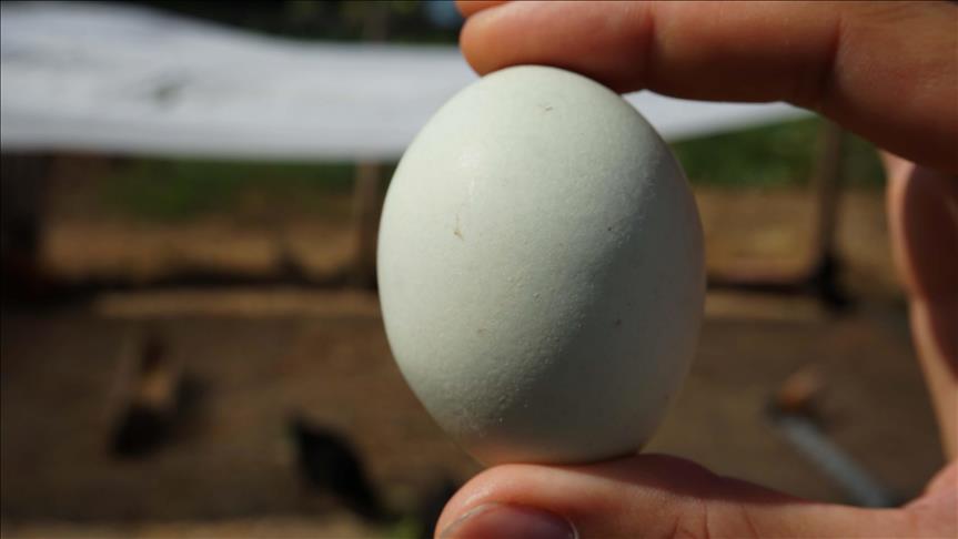 Hobi olarak başladı, talep yoğunluğu yaşıyor