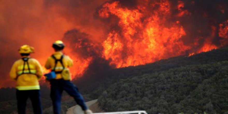 'Orman yangınları küresel iklim değişikliğine neden oluyor'