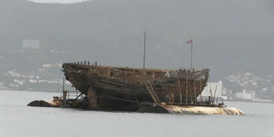 Kuzey Kutbu'na gitmişti, bir asır sonra döndü