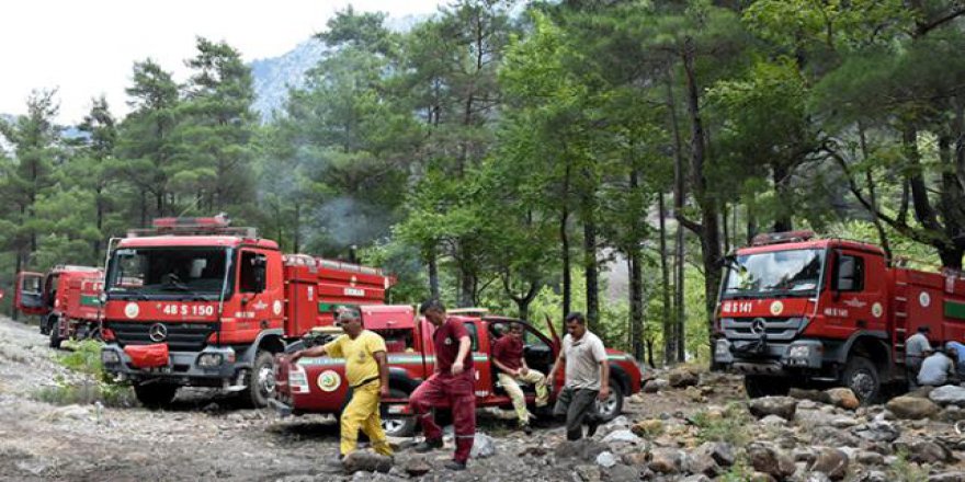 Orman işçileri yangınlara anında müdahale ediyor