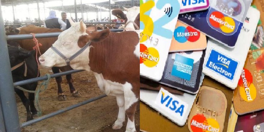Kredi kartı ile kurban kesmek caiz mi? Diyanet açıkladı