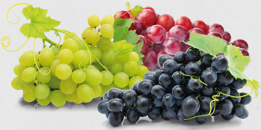 Kainat eczanesinden şifa deposu üzüm: Koronaya, kalbe, kansere, göze...