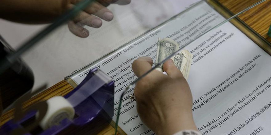 Sivil toplum kuruluşlarından Türk Lirası'na destek