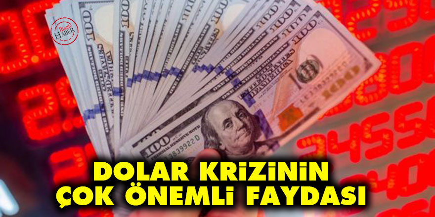 Dolar krizinin çok önemli faydası