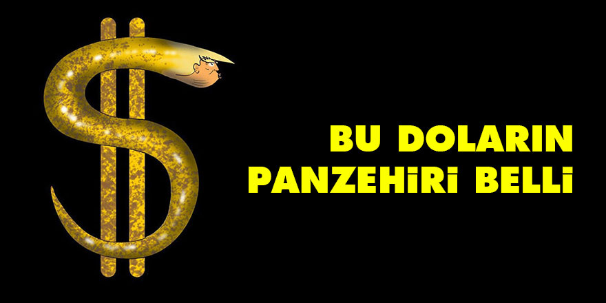 Bu Doların panzehiri belli