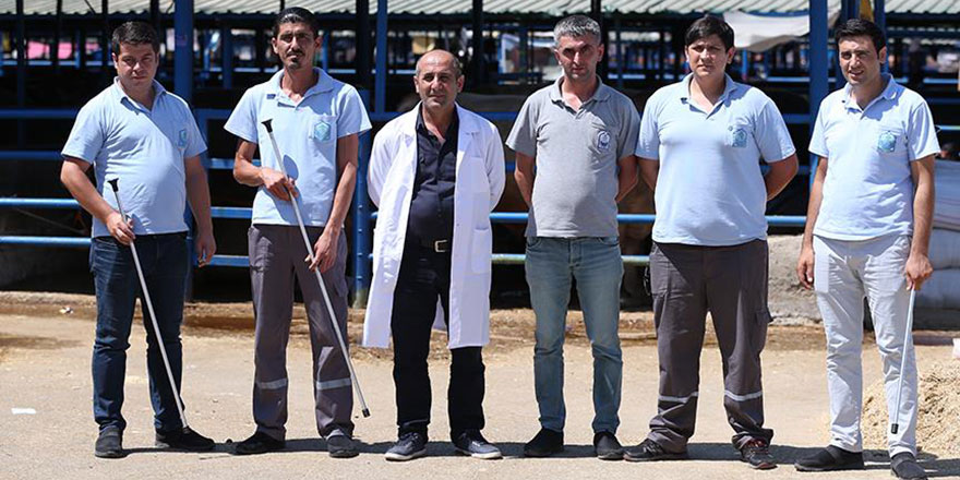 'Kaçan kurbanlıkları yakalama timi' işbaşında