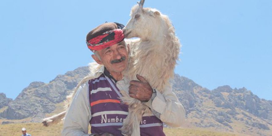 Yüksek rakımlı köyde 'Kuzu Kırpma Şenliği'