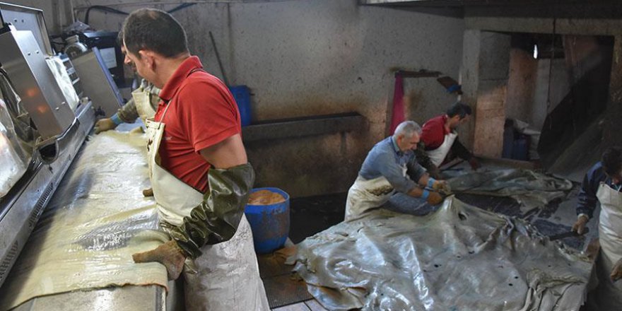 Kurban derisini iyi yüzerek milyonlarca TL zararı önleyebilirsiniz