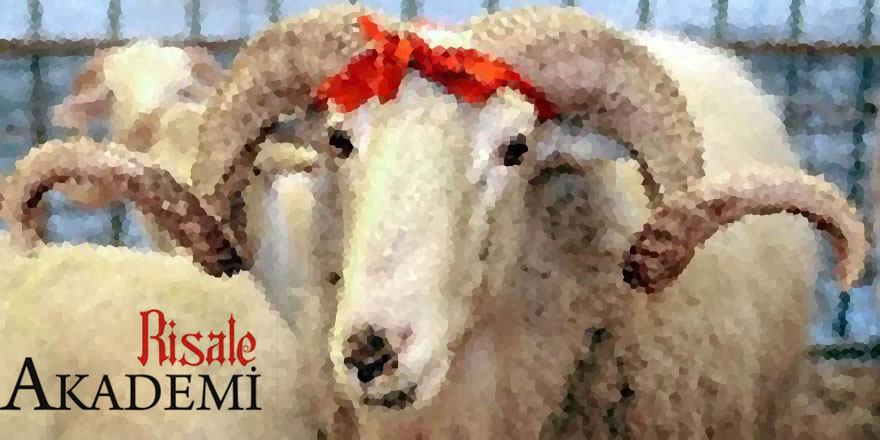 Risale Akademi bayramlaşma programı