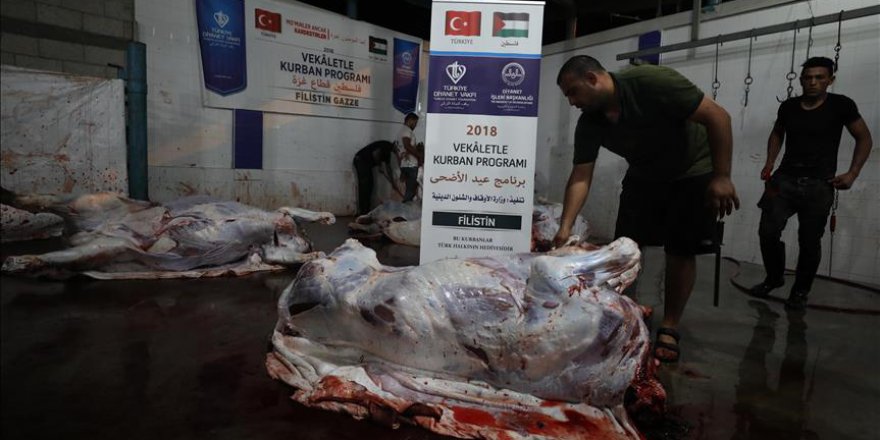 Gazze'deki 15 bin ailenin yüzü kurban eti gülecek