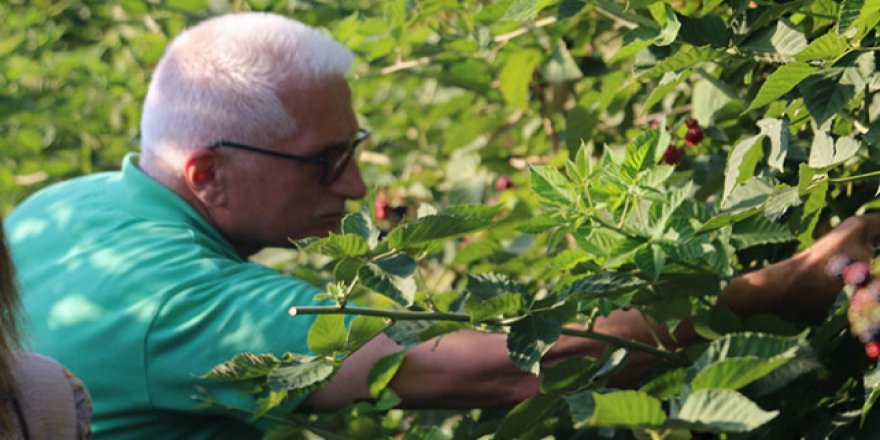 Siirt'te üretilen elmalar 8 ülkeye ihraç ediliyor