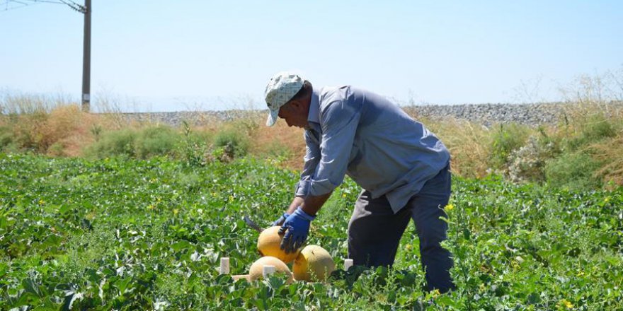 Yazıhan Ovası'na baraj ile birlikte su bereketi de geldi