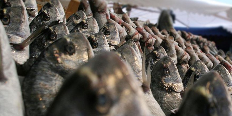 On balıktan biri yurt dışına uçarak gidiyor