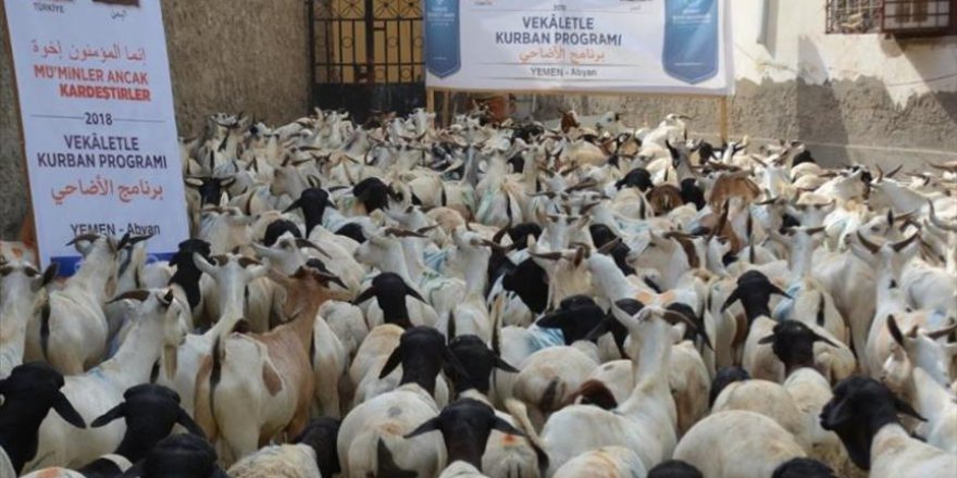 Türkiye'den Yemen'e yardım eli