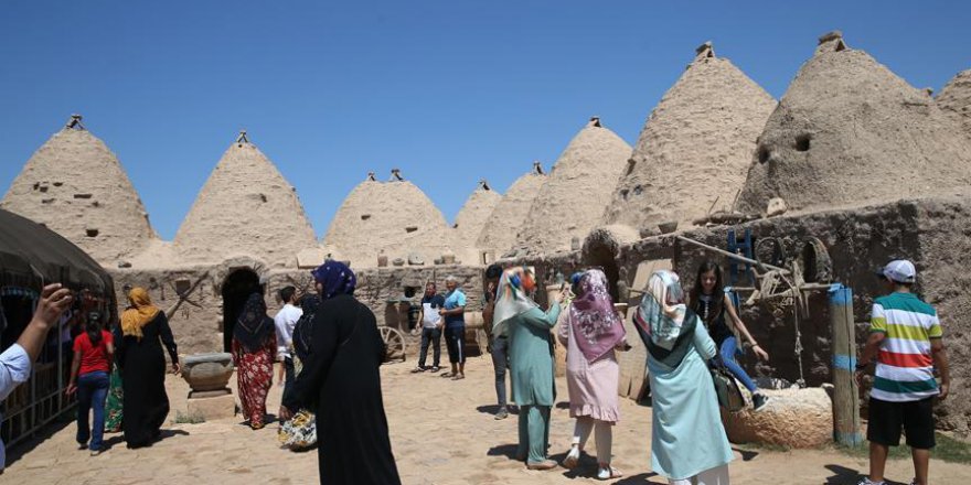 Harran kurban bayramını bereketli yaşadı