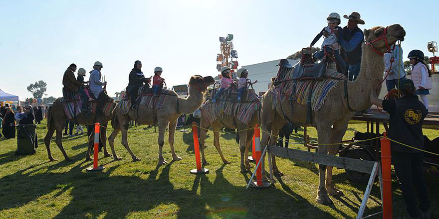 Avustralya'da Müslümanların 'Bayram Festivali' coşkusu