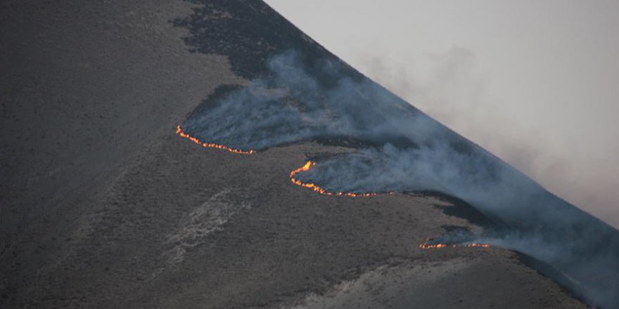 Hakkari'de dağlık alanda yangın çıktı