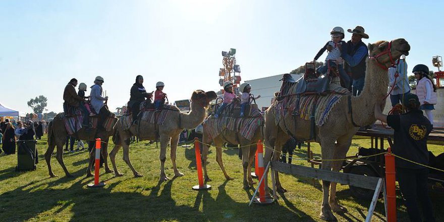 Avustralyalı Müslümanlar festivalde eğlendi