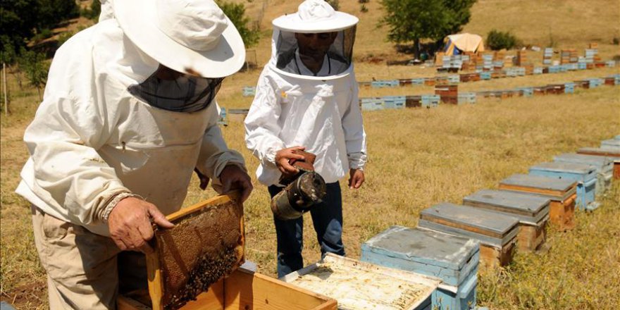 Bingöl, meşhur balını tescilletmek istiyor