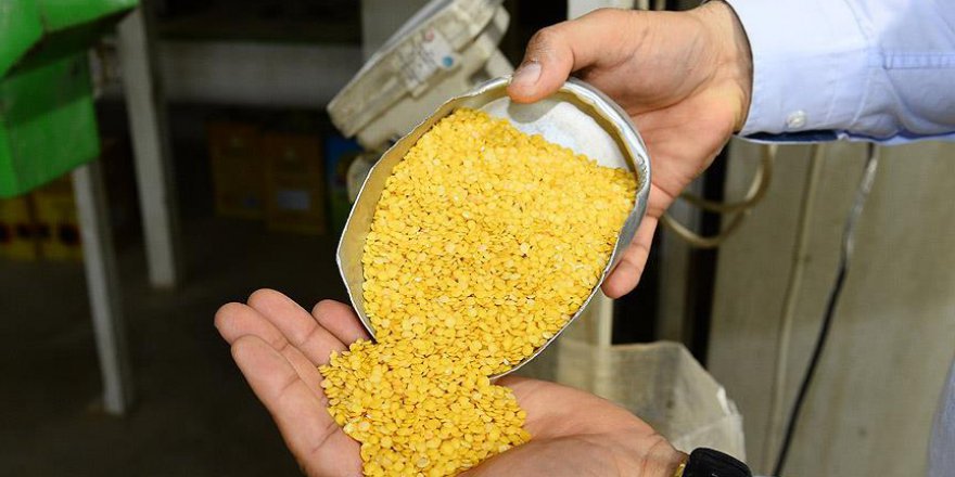 Sarı mercimek üretimi düştü, fiyatlar yükseldi