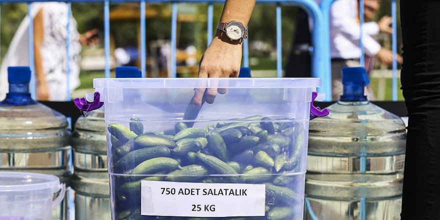 Ankara'nın turşusu ile ünlü ilçesinde rekor denemesi