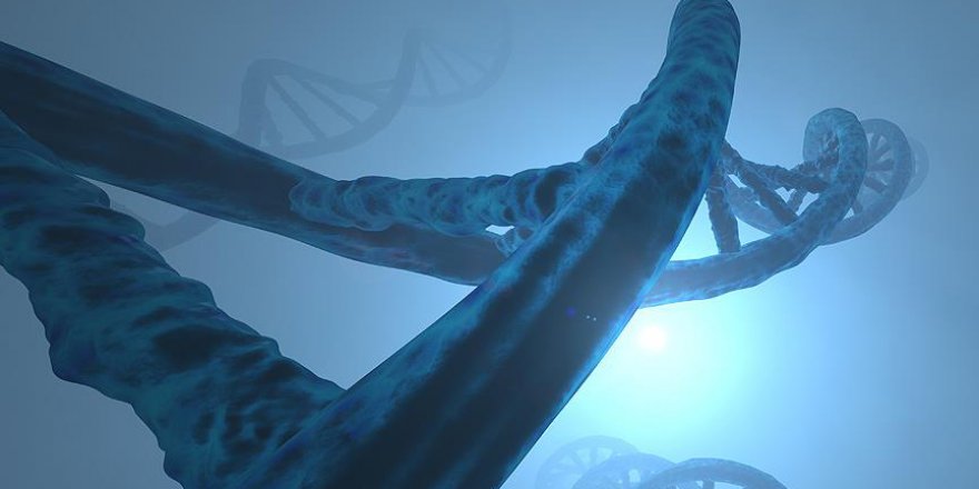 Yeni keşfedilen bu gen otizmin sebebi olabilir