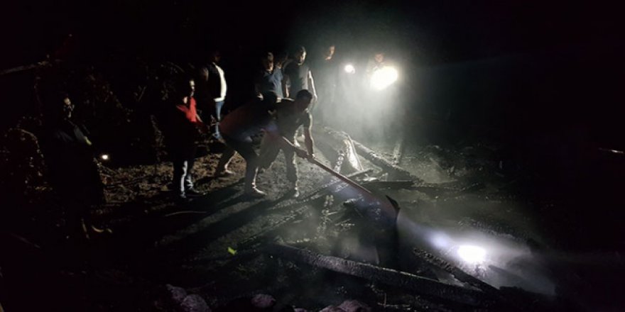 Yangını söndürdüler, arı saldırısına uğradılar