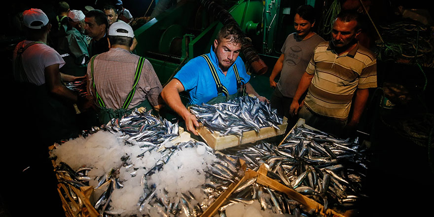 Balıktan üzücü haber: Fiyatlar yükseliyor