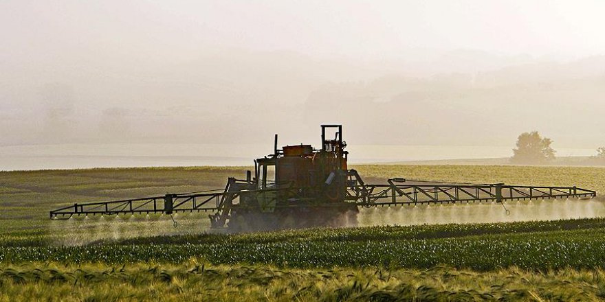 Yaz mevsiminde zararlı böceklerin iştahı artıyor