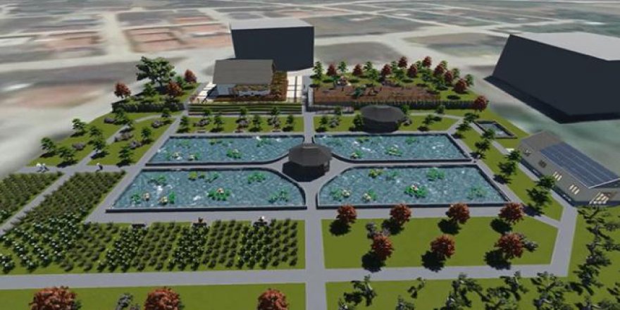 Bolu'nun hedefi lider nilüfer yetiştiricisi olmak