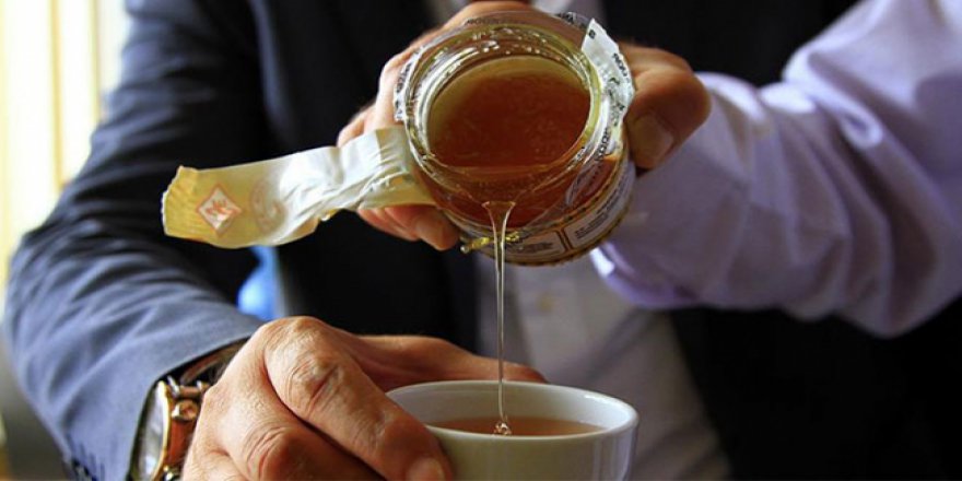 Bingöl balına bilimsel inceleme