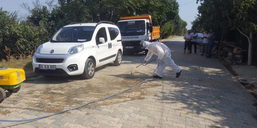 Silivri'de şarbon aşılaması başladı