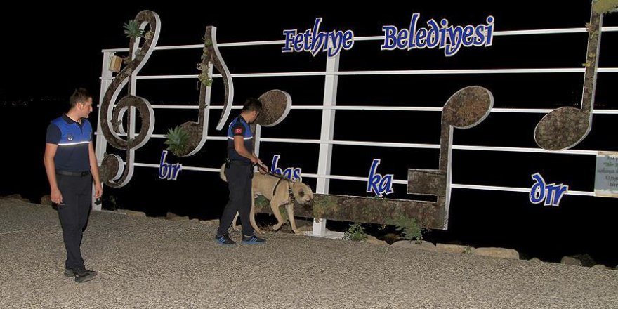 Canilerin işkence ettiği köpeğe belediye sahip çıktı