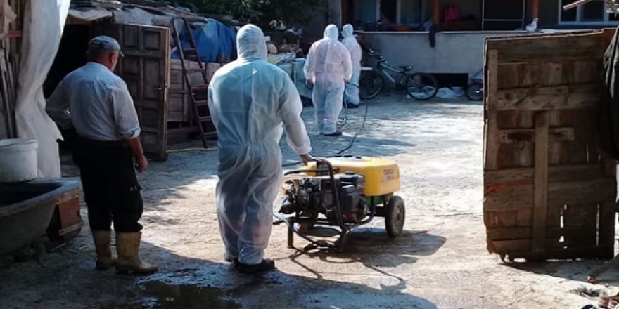 Şarbon aşılamaları başladı