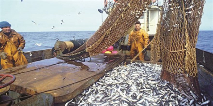Balıkçılar yasal düzenleme istiyor