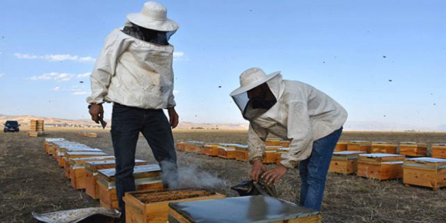 Genç çiftçilerin yüzü devlet desteğiyle gülüyor