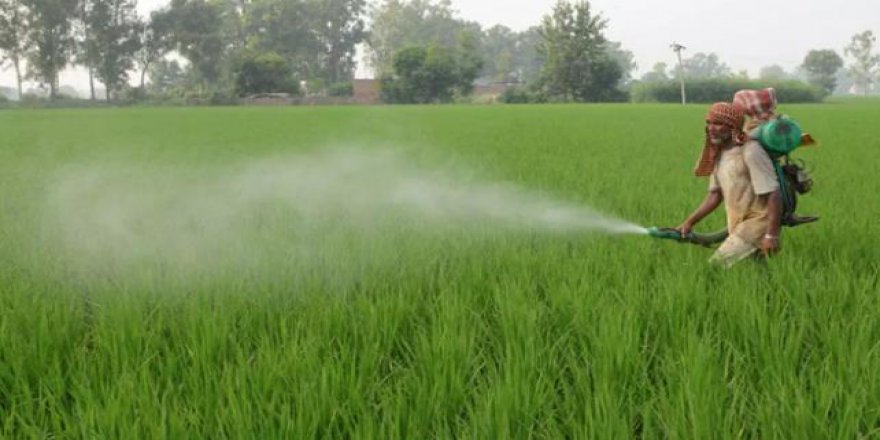 İklim değişikliği küresel bir açlığa neden olabilir