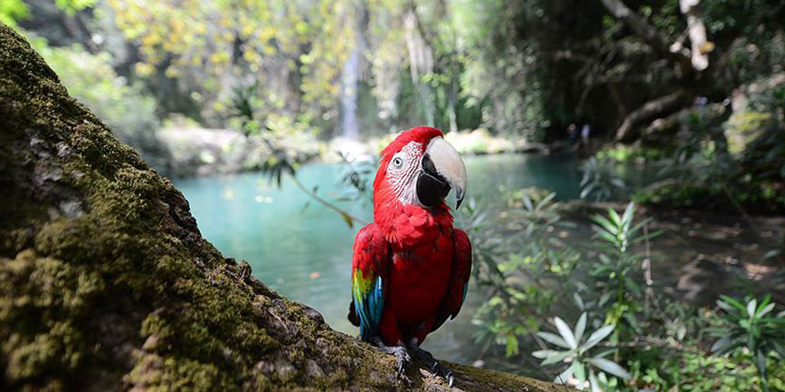 Saklı cennet: Kurşunlu Şelalesi