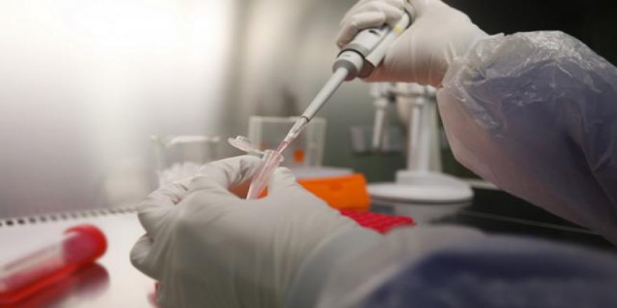 Güney Kore'de Orta Doğu paniği