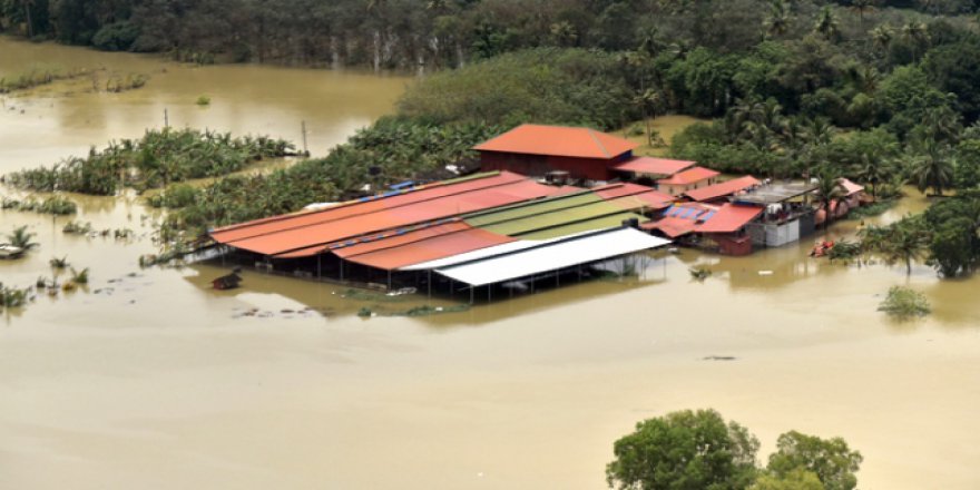 Hindistan'ı vuran seller 600 binden fazla kişiyi mağdur etti
