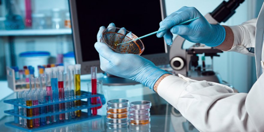 Kanserin başka yerlere yayılmasını engelleyen ilaç geliştirildi