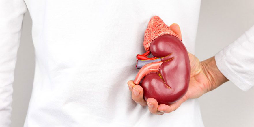 Salgın böbrek nakillerinde düşüşe neden oldu