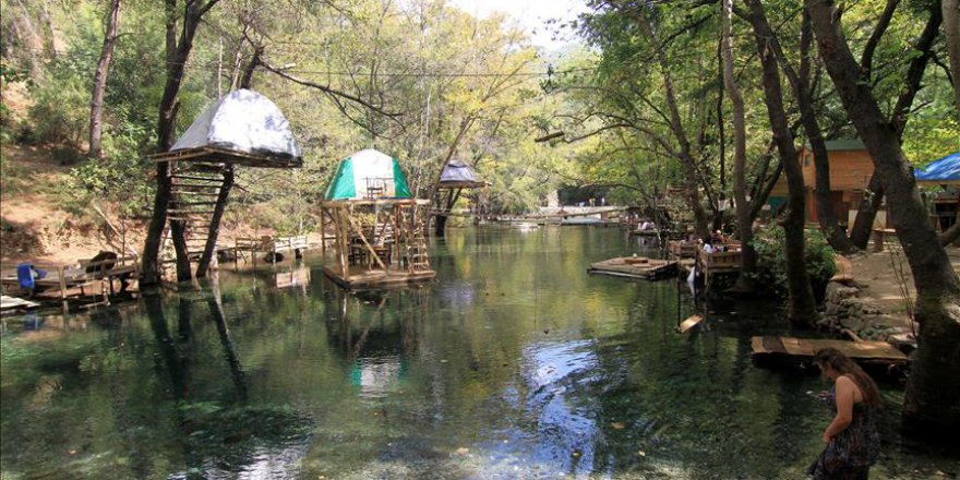 Tatilcilere ağaç ve su üstünde konaklama imkanı