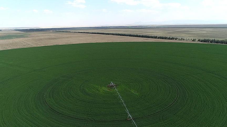 Hazine arazileri çiftçilere kiralanacak