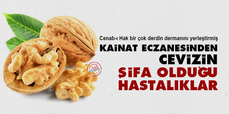 Kainat eczanesinden cevizin şifa olduğu hastalıklar