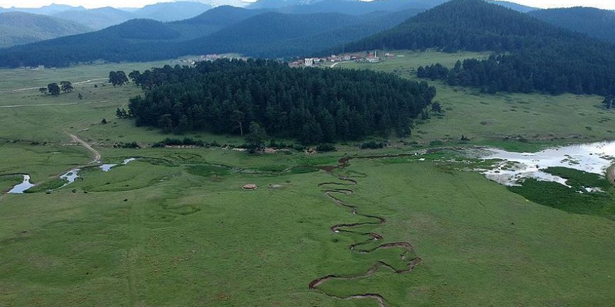 Bolu, yaylalarını turizm için kullanmak istiyor