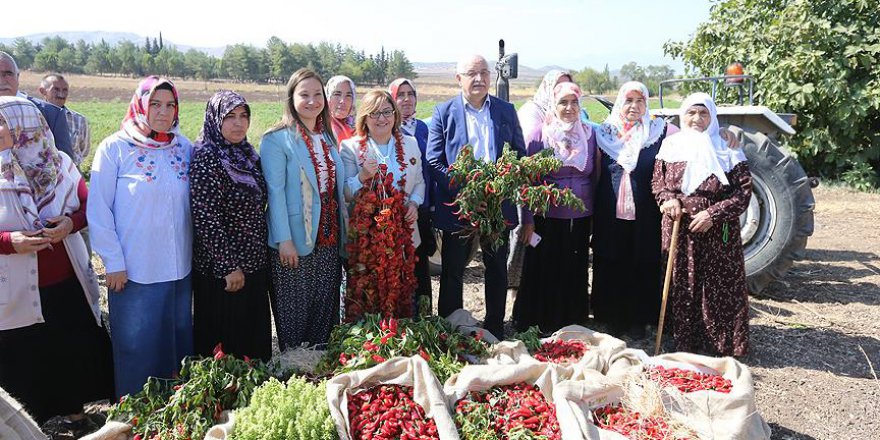 Antep'in lezzetleri görücüye çıktı